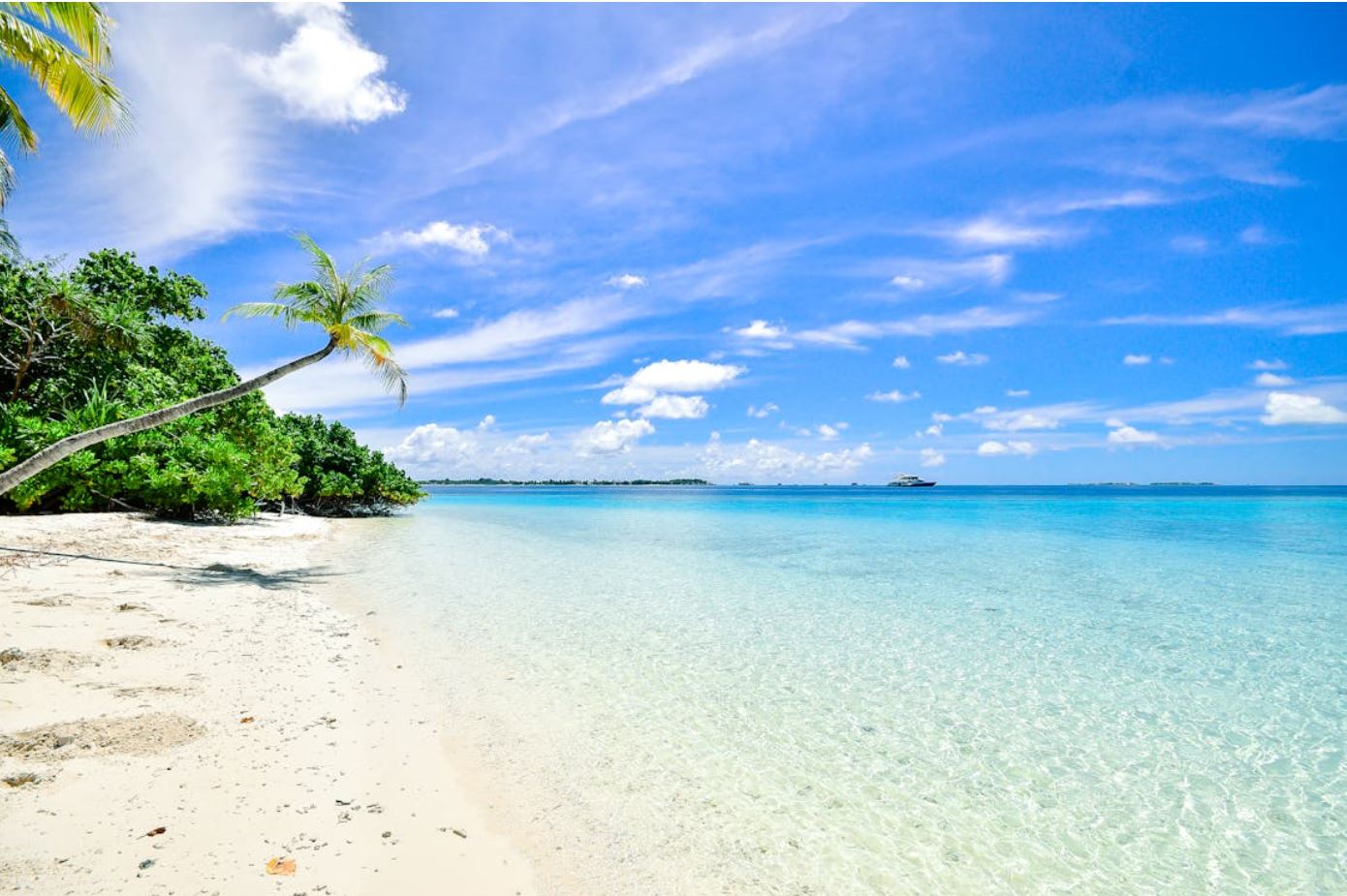 Zanzibar Beaches